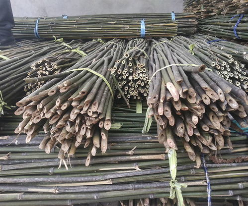 新疆菜架竹 菜架竹公司 兴荣竹木制品 推荐商家